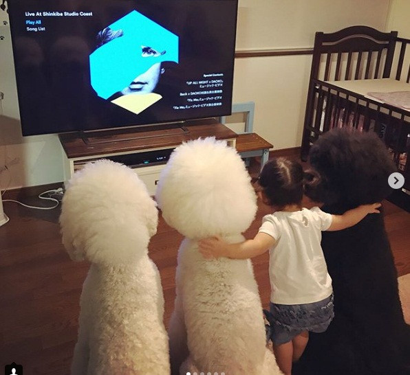 Ba chú poodle như những người bạn thân thiết đồng hành cùng Mame lớn lên từng ngày từ khi bé mới chào đời.