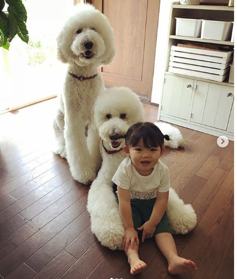 Tình bạn của Mame và ba chú chó ngày càng thân thiết hơn.