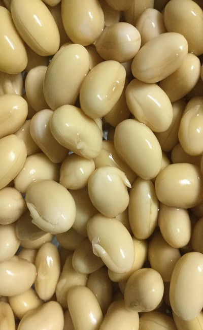 Dùng thực phẩm mọc mầm này làm sữa đậu nành hoặc xào cùng nấm hương đều là những lựa chọn ẩm thực vừa bổ dưỡng lại vừa ngon miệng. Cần lưu ý rằng đậu tương mọc mầm trong thời gian càng ngắn, độ dài chưa tới nửa centimet là tốt nhất để ăn.