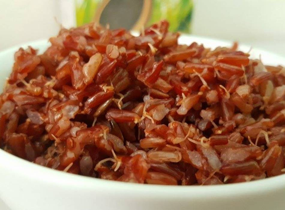 Mầm gạo lứt: Nhật Bản là quốc gia phổ biến mầm gạo lứt đầu tiên. Ngày nay, nó được coi như là một loại thực phẩm chức năng rất có lợi cho sức khỏe con người.