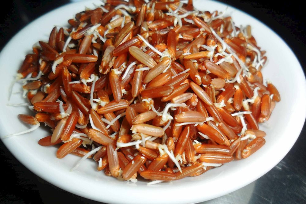 Mầm gạo lứt lại có tác dụng làm cho aminobutyric acid (gaba - chất dẫn truyền thần kinh thuộc nhóm các acid amin) và các thành phần có lợi khác được cải thiện đáng kể. Ảnh: Internet. 