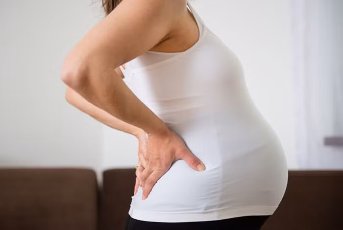 Tieu den rat tot nhung an qua nhieu lai gay hai khon luong-Hinh-2