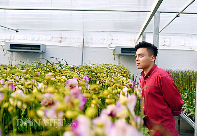 Lan Hồ điệp có nhiều loài với màu sắc đẹp, thường nở và tàn trong vài tháng. Giá bán phù hợp với nhiều đối tượng khách hàng nên được thị trường ưa chuộng nhất là vào dịp Lễ, Tết, thích hợp làm quà tặng. Hiện, trang trại của ông Hùng đang nhập một số giống Hồ điệp được nhập khẩu từ thị trường Đài Loan (Trung Quốc).