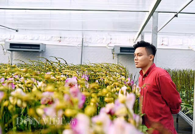 “Dot nhap” trang trai lan ho diep CNC lon nhat dat Kinh bac-Hinh-9