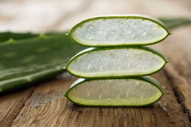 Nha đam: Bạn có thể dùng gel nha đam bôi trực tiếp lên vùng mụn trứng cá hoặc có thể mua gel lô hội nguyên chất để bôi.