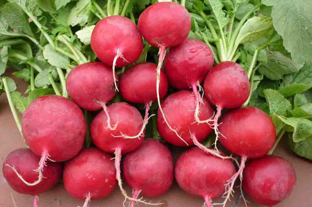 Củ cải đường: Nếu cánh đàn ông muốn cải thiện sức khỏe của "cậu nhỏ", nên thêm củ cải đường vào bữa ăn hàng ngày.