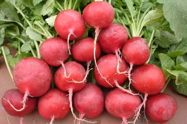 Củ cải đường: Nếu cánh đàn ông muốn cải thiện sức khỏe của "cậu nhỏ", nên thêm củ cải đường vào bữa ăn hàng ngày.