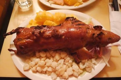 Người Peru tiêu thụ khoảng 65 triệu con chuột lang mỗi năm. 