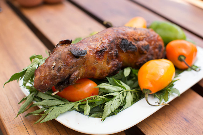 Thịt chuột lang nướng có hàm lượng protein cao và ít cholesterol hơn thịt gà, lợn hay bò. Tại Cusco có cả chương trình nuôi chuột lang làm thực phẩm cho các bệnh nhân ung thư, vì thịt của chúng tốt cho sức khỏe hơn các loại thịt khác.