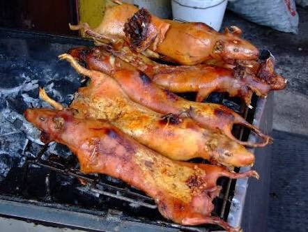 Khi chín sẽ được ăn cùng khoai tây vàng, ngô và đặc biệt là thực khách ăn bằng tay, không cần thìa dĩa.