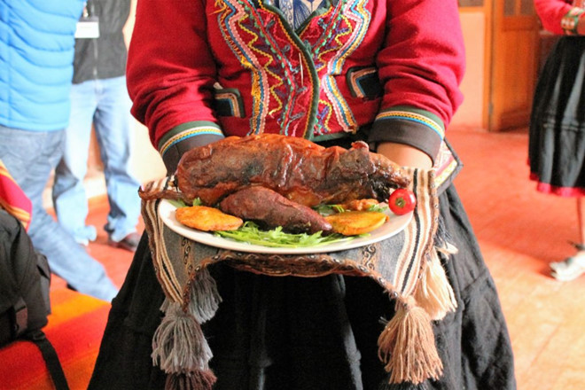 Người dân Peru không ăn cuy trong ngày thường mà dành món ăn này cho các dịp quan trọng như lễ hội, sinh nhật, năm mới, tiệc đãi khách quý...