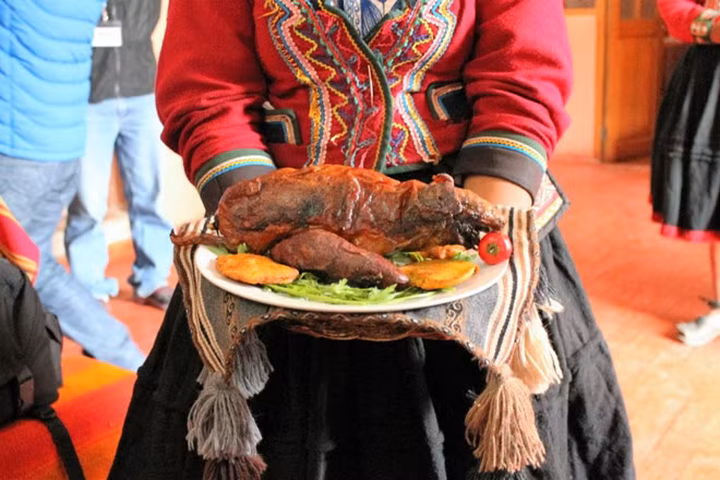 Người dân Peru không ăn cuy trong ngày thường mà dành món ăn này cho các dịp quan trọng như lễ hội, sinh nhật, năm mới, tiệc đãi khách quý...