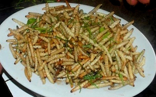 Sâu măng xào: Vào mùa mưa lạnh, người Mường ở huyện Mường Lát, Thanh Hóa thường vào rừng tìm những cây măng héo ngọn để bắt sâu về làm thức ăn. Sâu măng to như cọng rau muống, màu trắng sữa, dài độ 2 đốt ngón tay, thường xuất hiện vào những tháng mưa lạnh cuối năm.