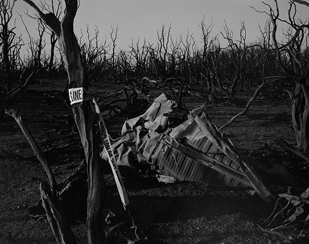 Chỉ trong 30 phút ngắn ngủi, vụ hỏa hoạn đã tạo ra các tia lửa bắn cao hàng trăm mét lên bầu trời, xóa sạch mọi thứ trên đường đi và thải ra lượng nhiệt dữ dội cùng các cột khói vào tầng bình lưu của khí quyển. Trong lịch sử các vụ hỏa hoạn ở Mỹ, chưa có vụ cháy nào đủ sức so sánh với Carr. Giữa những nhánh cây đen còn sót lại, một vài thanh kim loại dài 3 m xoắn vào nhau như chiếc khăn lụa. Một xe container 4 tấn bị xé thành từng mảnh nằm la liệt. Không còn lấy một cọng cỏ trên mặt đất. 