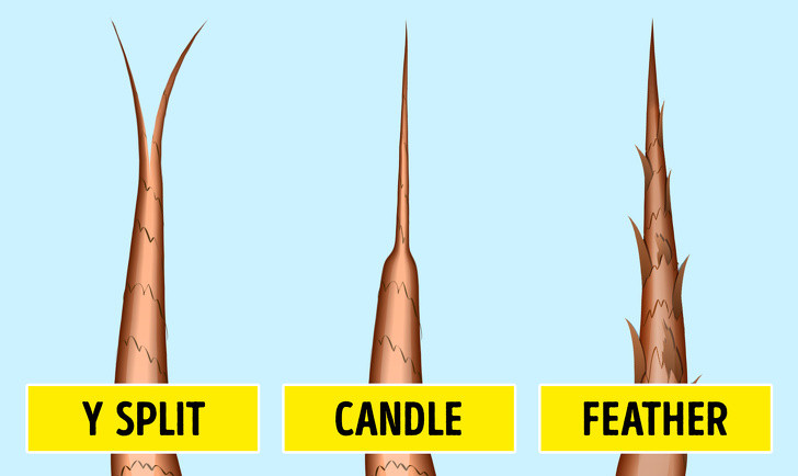 Tóc mái không dài ra là một trong những dấu hiệu cảnh báo cơ thể bạn đang thiếu protein trong thực đơn dinh dưỡng hàng ngày. Nguyên nhân là do tóc được tạo nên bởi protein nên việc bổ sung protein đầy đủ mỗi ngày là điều vô cùng cần thiết. Ảnh: BS. 