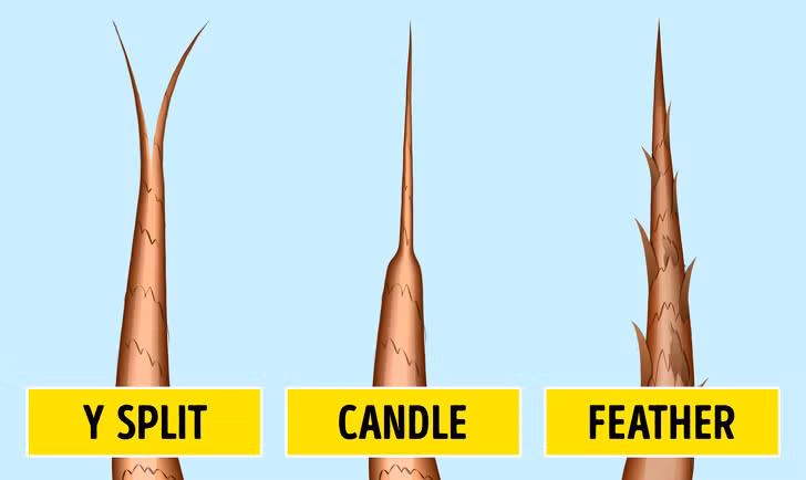 Tóc mái không dài ra là một trong những dấu hiệu cảnh báo cơ thể bạn đang thiếu protein trong thực đơn dinh dưỡng hàng ngày. Nguyên nhân là do tóc được tạo nên bởi protein nên việc bổ sung protein đầy đủ mỗi ngày là điều vô cùng cần thiết. Ảnh: BS. 