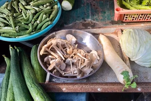 Theo y học, nấm mối có giá trị dinh dưỡng rất cao, có khả năng phòng ngừa ung thư hoặc chống lão hóa…Vì vậy, một một số nơi còn ví gọi nó là "nấm vua". Ảnh: Dân Việt.