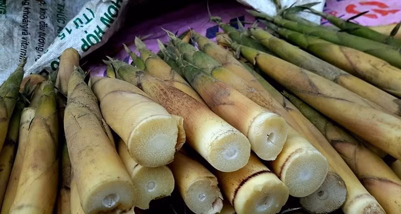 Khi ăn phải măng có chứa nhiều cyanide, dưới tác động của các enzym đường tiêu hóa, cyanide biến thành axít cyanhydric (HCN), là một chất cực độc với cơ thể, gây hại cho gan.