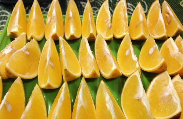 Loại cam này có vỏ mỏng dính, có mùi thơm nhẹ, đặc biệt ăn ngọt mát chứ không khé như những loại quýt khác. Ảnh: Internet.