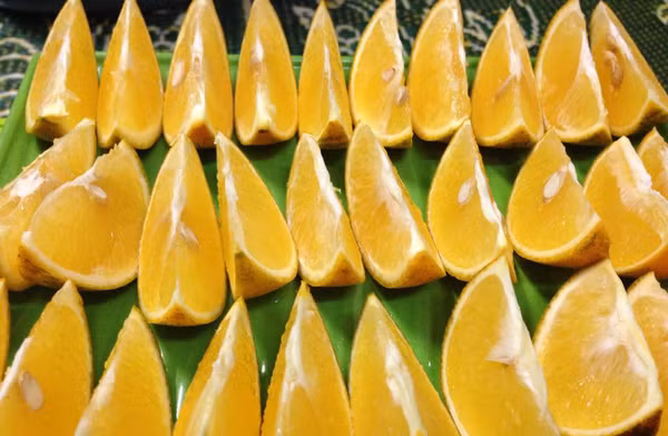 Loại cam này có vỏ mỏng dính, có mùi thơm nhẹ, đặc biệt ăn ngọt mát chứ không khé như những loại quýt khác. Ảnh: Internet.