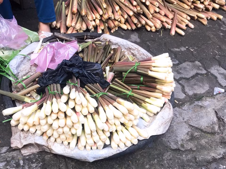 Cứ đến tháng 11 hàng năm, các bà nội trợ lại thường săn lùng một món đặc sản Nam Định gọi là củ niễng. Niễng có vị ngọt thơm thơm bùi bùi, tiếc là mỗi mùa chỉ kéo dài khoảng hơn 1 tháng.