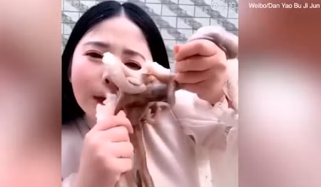 Kinh di bach tuoc quyet liet 