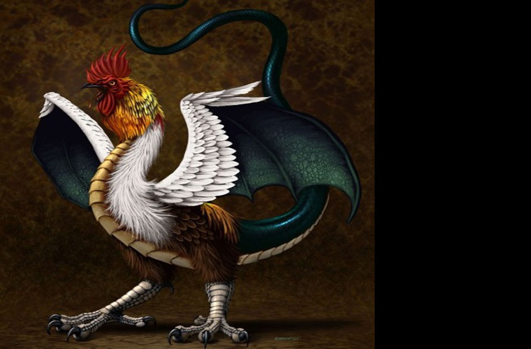 Cockatrice có đầu của một con gà trống, cánh của rồng, đuôi của rắn và một chiếc vòi độc. Loài này được miêu tả là có hơi thở chết người, và có thể giết người chỉ bằng cách nhìn vào mắt nạn nhân. Nó được sinh ra từ trứng gà, đặt trong ổ rắn. Con quái vật này được xuất hiện lần đầu trong các câu chuyện của Anh thế kỷ 12.