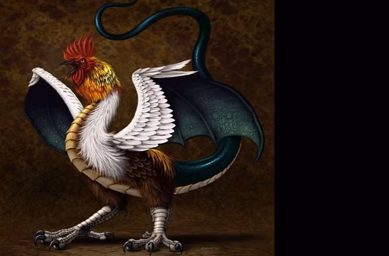 Cockatrice có đầu của một con gà trống, cánh của rồng, đuôi của rắn và một chiếc vòi độc. Loài này được miêu tả là có hơi thở chết người, và có thể giết người chỉ bằng cách nhìn vào mắt nạn nhân. Nó được sinh ra từ trứng gà, đặt trong ổ rắn. Con quái vật này được xuất hiện lần đầu trong các câu chuyện của Anh thế kỷ 12.