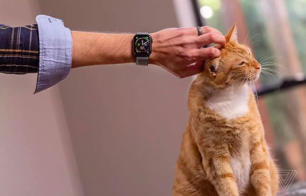 Nhung dieu thu o tiec cong nghe cua Apple WWDC 2019 sap toi-Hinh-4