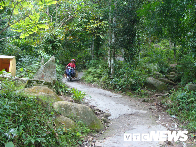 Nhung chuyen kinh di ve loai ran khong lo bi an o nui Cam-Hinh-5
