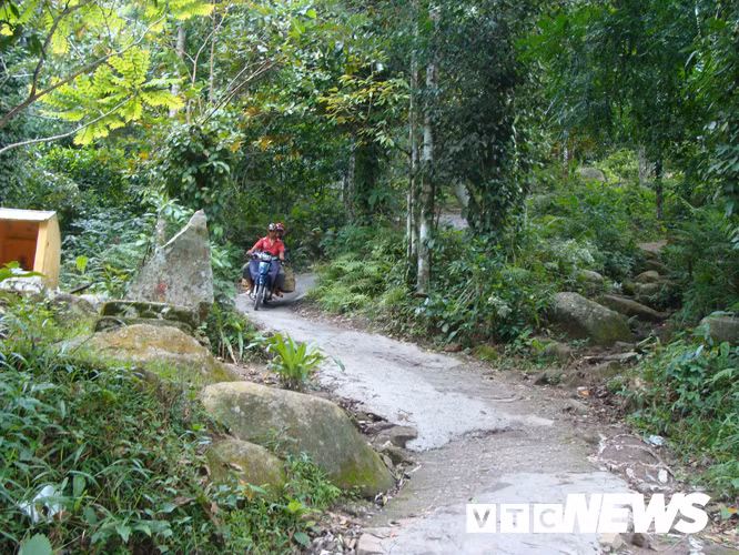 Nhung chuyen kinh di ve loai ran khong lo bi an o nui Cam-Hinh-5