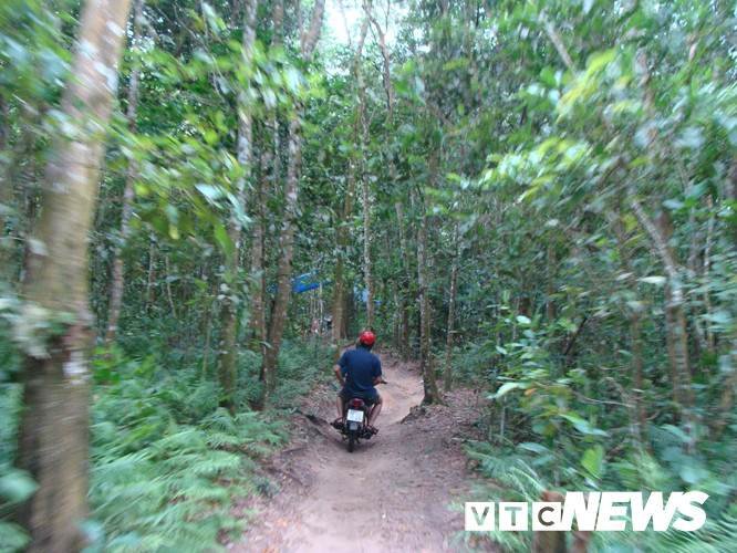 Nhung chuyen kinh di ve loai ran khong lo bi an o nui Cam-Hinh-2