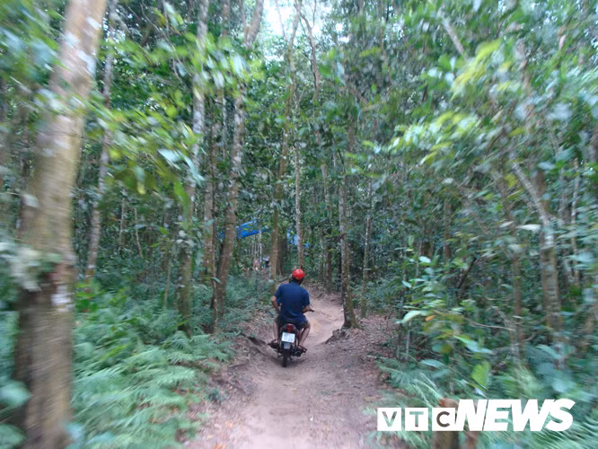 Nhung chuyen kinh di ve loai ran khong lo bi an o nui Cam-Hinh-2