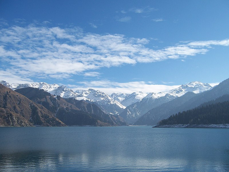 Ngoài ra, đây không phải là lần đầu tiên khách du lịch tuyên bố đã nhìn thấy những sinh vật tương tự, nhưng cũng như những trường hợp trước, loài này không thể được xác định do khoảng cách xa.