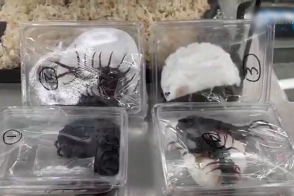 Dang di la lung, nguoi phu nu bi bat...lo bung day ran ret-Hinh-3