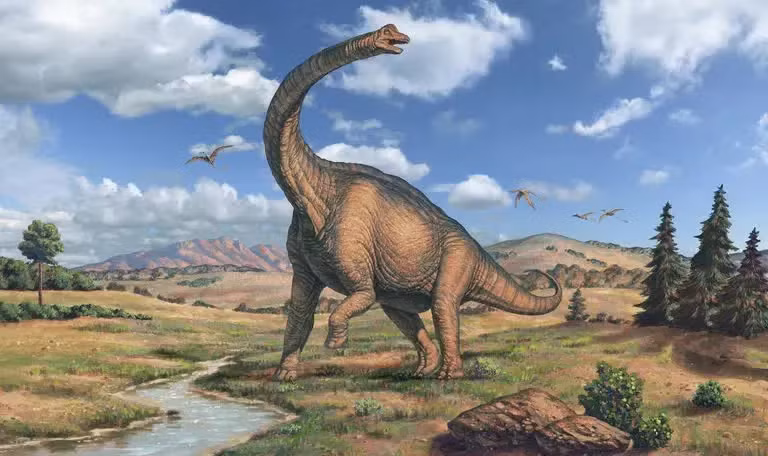 Brachiosaurus là một chi khủng long sauropoda sống cuối kỷ Jura ở thành hệ Morrison của Bắc Mỹ. Trong tiếng Việt, chúng còn được gọi là uyển long hay lôi long.