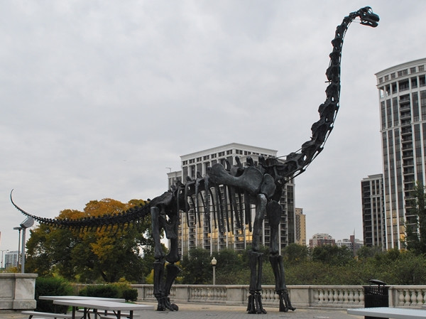 Brachiosaurus là một trong những loài khủng long cao nhất và lớn nhất chưa được tìm thấy. Nó có một cái cổ dài, đầu nhỏ và cái đuôi tương đối ngắn, dày.