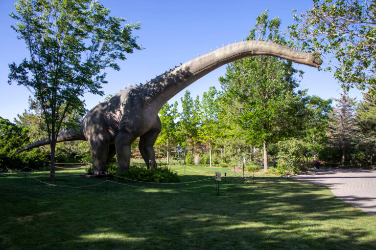 Cơ thể của loài khủng long Brachiosaurus dài khoảng 85 feet (26 m) và nặng khoảng 33 - 88 tấn. Brachiosaurus là một loài động vật ăn thực vật, chúng sẽ nuốt toàn bộ thức ăn mà không cần nhai, tiêu hóa thực vật trong ruột. Đặc biệt, theo tính toán của các chuyên gia, Brachiosaurus có thể giết chết các loài động vật khác chỉ bằng bãi nôn của mình.