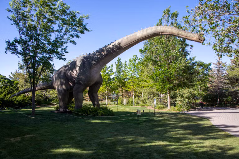 Cơ thể của loài khủng long Brachiosaurus dài khoảng 85 feet (26 m) và nặng khoảng 33 - 88 tấn. Brachiosaurus là một loài động vật ăn thực vật, chúng sẽ nuốt toàn bộ thức ăn mà không cần nhai, tiêu hóa thực vật trong ruột. Đặc biệt, theo tính toán của các chuyên gia, Brachiosaurus có thể giết chết các loài động vật khác chỉ bằng bãi nôn của mình.