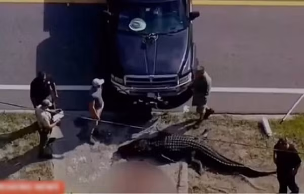 Thay ca sau khong lo chay mau, phat hien dieu ghe ron