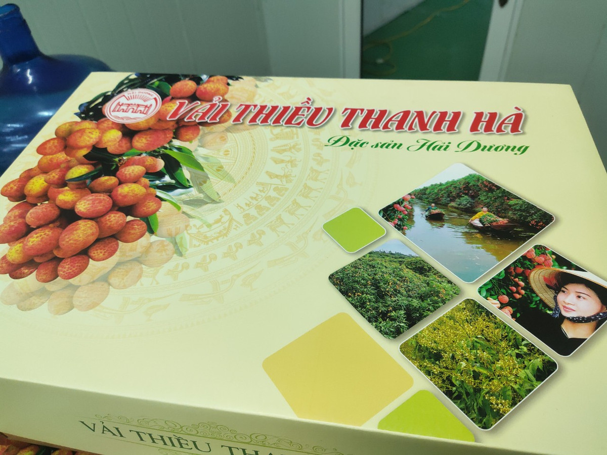 Ông Hoàng Minh Chiến, Phó Cục trưởng Cục xúc tiến thương mại (Bộ Công Thương) cho biết, quả vải Hải Dương khi đưa lên các sàn TMĐT được kỳ vọng sẽ số lượng giao dịch lớn, đây sẽ là kênh hỗ trợ tích cực cho việc tiêu thụ sản phẩm của địa phương. “Qua làm việc với các hộ nông dân, các hộ sản xuất, các hợp tác xã, các doanh nghiệp thu mua cũng như các sàn TMĐT, chúng tôi nhận thấy rằng triển vọng ứng dụng TMĐT cho tiêu thụ sản phẩm nông sản là rất khả quan”, ông Chiến nói.