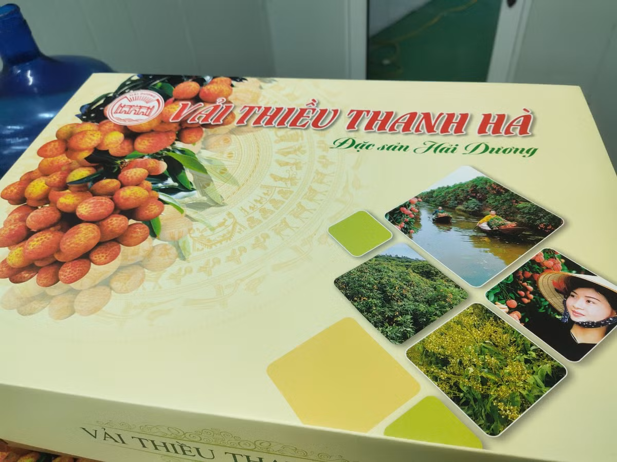 Ông Hoàng Minh Chiến, Phó Cục trưởng Cục xúc tiến thương mại (Bộ Công Thương) cho biết, quả vải Hải Dương khi đưa lên các sàn TMĐT được kỳ vọng sẽ số lượng giao dịch lớn, đây sẽ là kênh hỗ trợ tích cực cho việc tiêu thụ sản phẩm của địa phương. “Qua làm việc với các hộ nông dân, các hộ sản xuất, các hợp tác xã, các doanh nghiệp thu mua cũng như các sàn TMĐT, chúng tôi nhận thấy rằng triển vọng ứng dụng TMĐT cho tiêu thụ sản phẩm nông sản là rất khả quan”, ông Chiến nói.