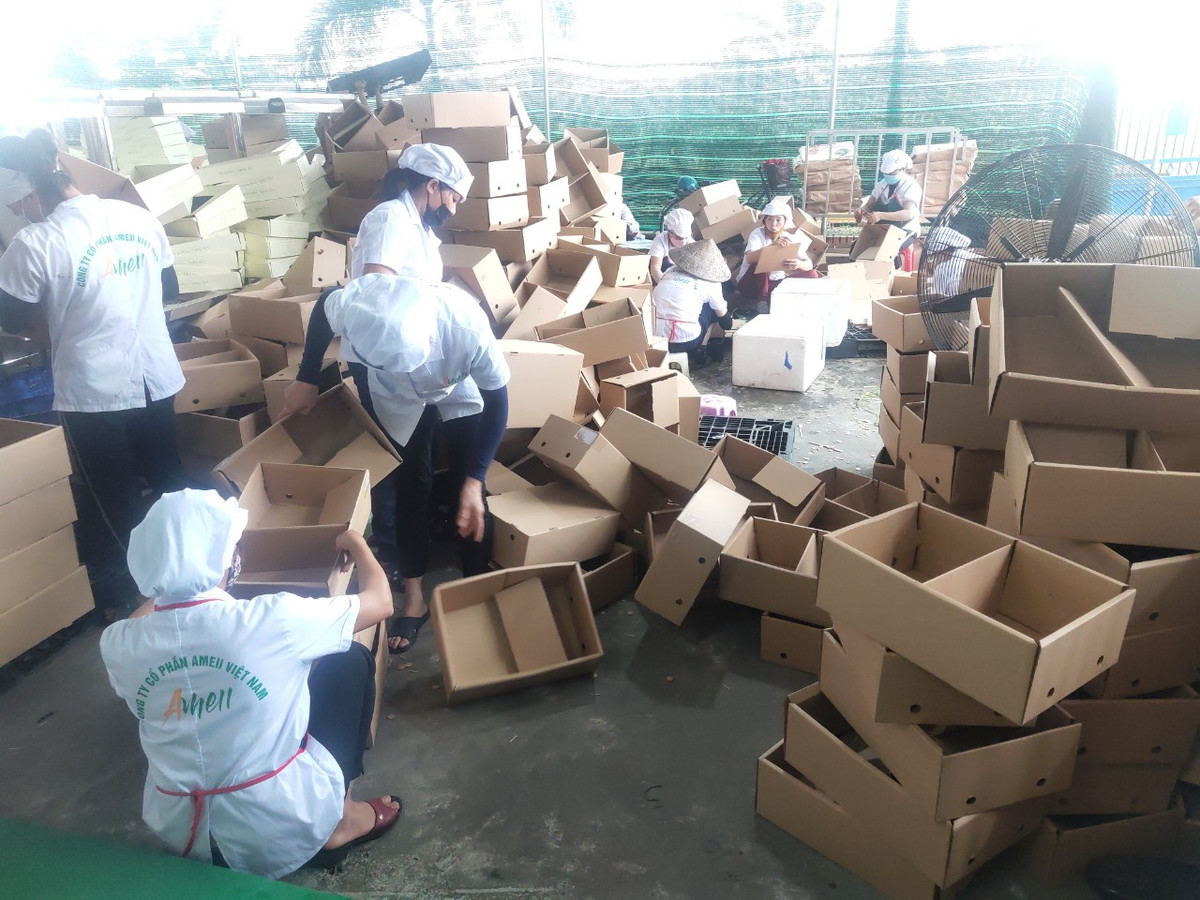 Hội nghị cũng sẽ chứng kiến Lễ khởi động “Chương trình đưa vải thiều và nông sản Hải Dương lên Sàn Thương mại điện tử”; lễ ký kết hợp tác hỗ trợ vải thiều và sản phẩm nông sản Hải Dương lên sàn thương mại điện tử giữa Cục Xúc tiến thương mại, Sở NN&amp;PTNT Hải Dương, Sở Công Thương Hải Dương, cùng 2 sàn thương mại điện tử Lazada và Sendo.