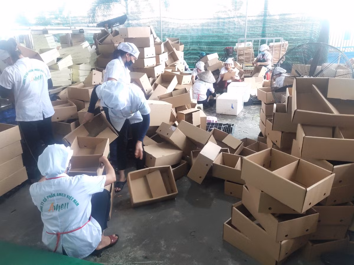 Hội nghị cũng sẽ chứng kiến Lễ khởi động “Chương trình đưa vải thiều và nông sản Hải Dương lên Sàn Thương mại điện tử”; lễ ký kết hợp tác hỗ trợ vải thiều và sản phẩm nông sản Hải Dương lên sàn thương mại điện tử giữa Cục Xúc tiến thương mại, Sở NN&amp;PTNT Hải Dương, Sở Công Thương Hải Dương, cùng 2 sàn thương mại điện tử Lazada và Sendo.