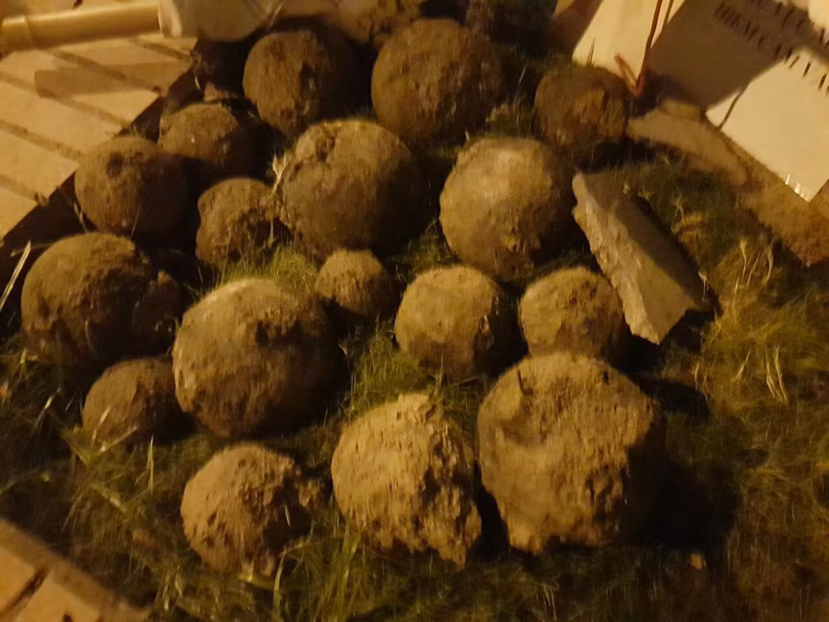 Qua kiểm tra cơ quan chuyên môn xác định, đây là những vật nổ nghi là bom bi tồn sót sau chiến tranh, chủng loại chưa xác định (vỏ đã han gỉ, không còn ký hiệu trên thân do trải qua thời gian dài bị ngâm dưới nước). Đường kính thân 10-15cm; hình dáng vật nổ còn nguyên vẹn, không móp méo; vỏ ngoài còn nguyên nhưng đã bị ôxi hóa lớp sơn, han gỉ, bên trong kín, được kích nổ theo nguyên lý lực ly tâm có thể phát nổ bất cứ lúc nào. 