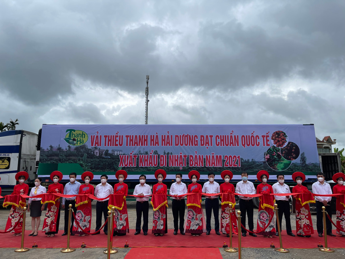 Hai Duong dua nong san, vai thieu vuot “bao COVID-19”… len san, xuat khau-Hinh-9