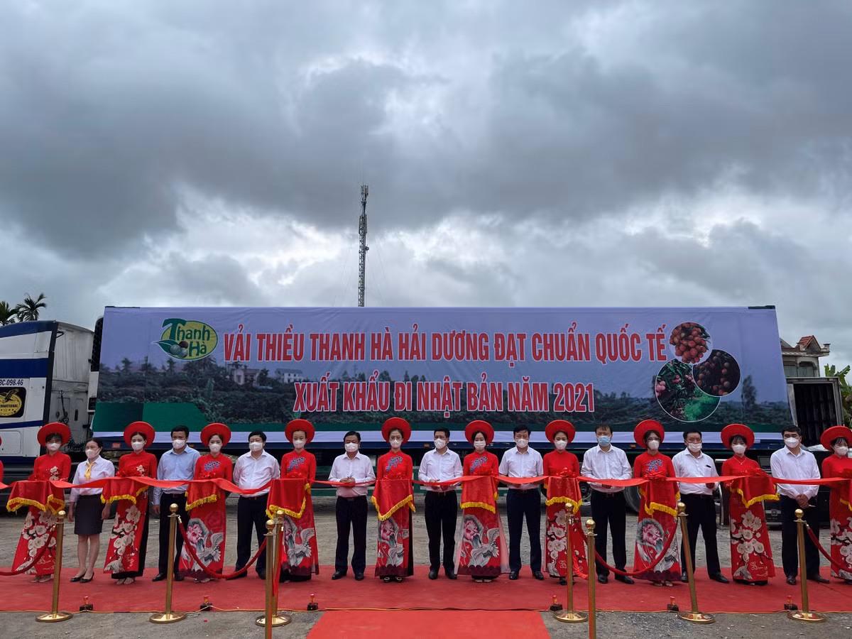 Hai Duong dua nong san, vai thieu vuot “bao COVID-19”… len san, xuat khau-Hinh-9