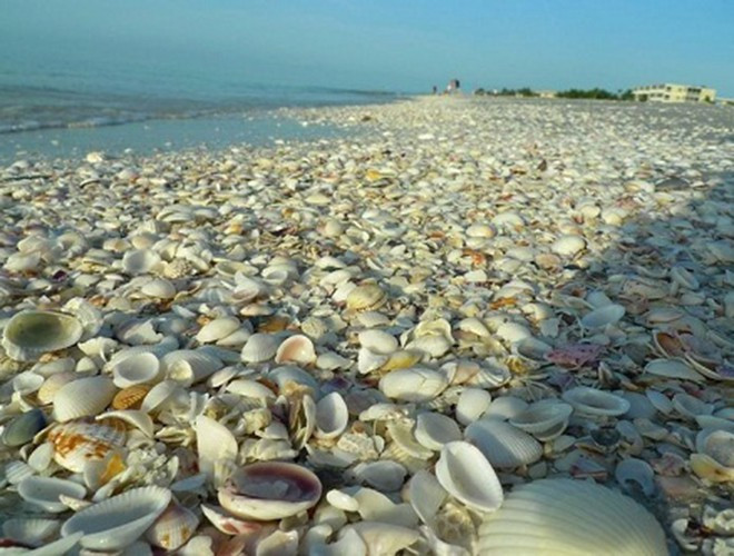 Được biết, những vỏ sò rỗng được tích lũy qua nhiều năm nhờ vào hoạt động đánh bắt các động vật nhuyễn thể như sò, trai của người dân để ăn. Rồi họ đã dùng những chiếc vỏ rỗng để xây dựng nên hòn đảo vỏ sò như ngày nay
