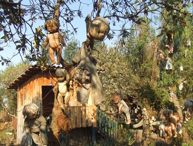 Canh tuong rung minh tren hon dao ky di nhat hanh tinh