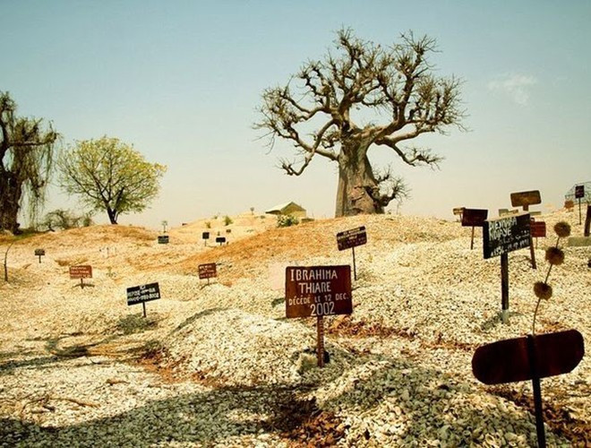 Ở đảo Fadiouth nổi tiếng nhất chính là nghĩa trang vỏ sò. Tại đây, những ngôi mộ đều được đắp đầy vỏ sò. Có thể thấy, cuộc sống của người dân nơi đây từ khi sinh ra tới lúc chết đi đều được che chở bởi hàng nghìn vỏ sò. Điều đó đã tạo lên nét đẹp bình dị hấp dẫn nhiều du khách ghé thăm